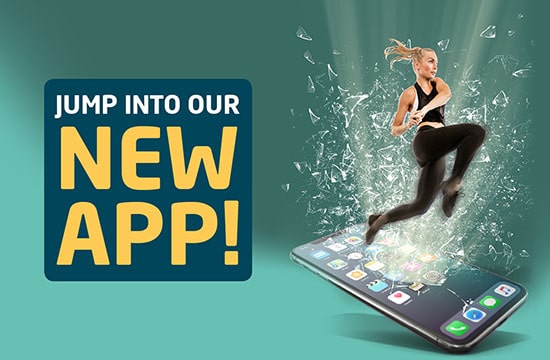 Jump into the new Brio app!