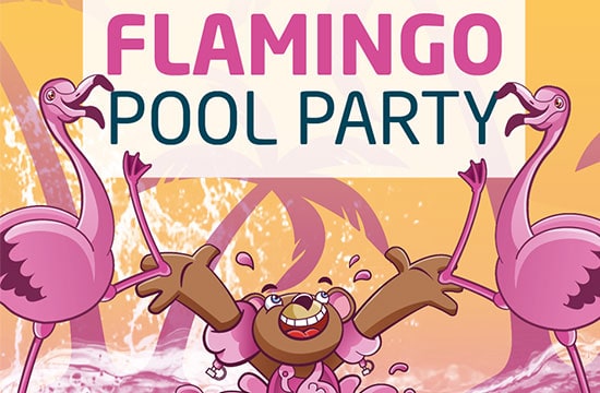 Get ready for Brio’s first ever Flamingo Party!