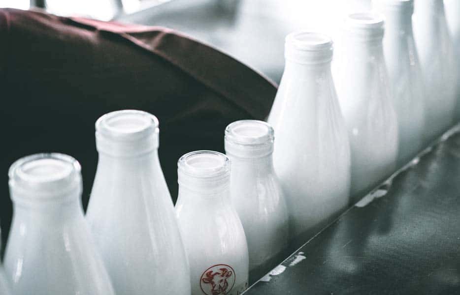Which milk is the best for you?