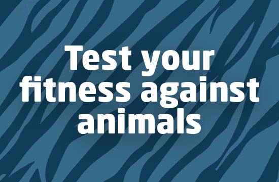 Test your fitness against animals!